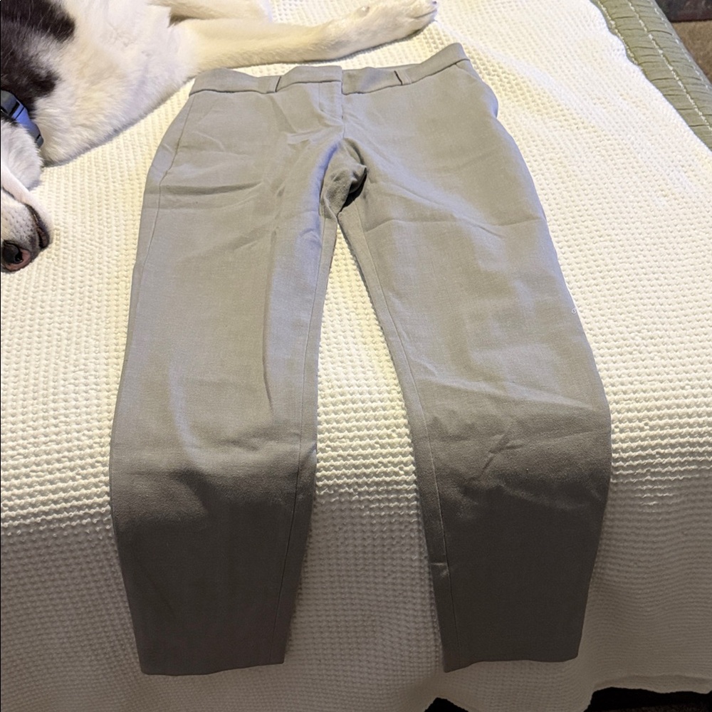 Express Light Gray Chinos